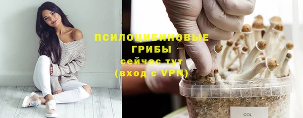 дмт Бородино