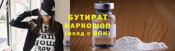 дмт Бородино