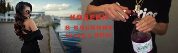 дмт Бородино