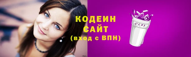 дмт Бородино