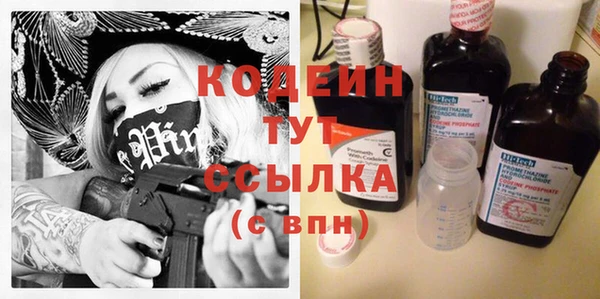 дмт Бородино