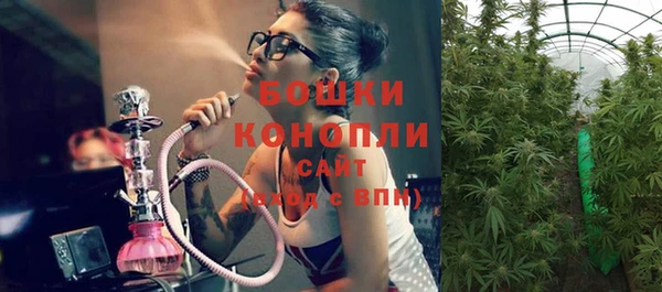 дмт Бородино