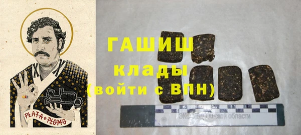 дмт Бородино